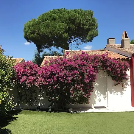 Ste Maxime 5 Etoiles Piscine Chauffee Et Jacuzzi * سانت ماكسيم