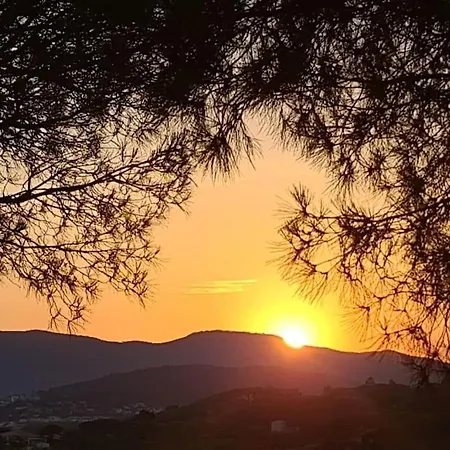 Willa Ste Maxime 5 Etoiles Piscine Chauffee Et Jacuzzi