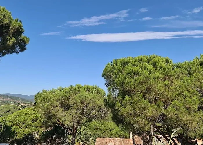 Ste Maxime 5 Etoiles Piscine Chauffee Et Jacuzzi فيلة