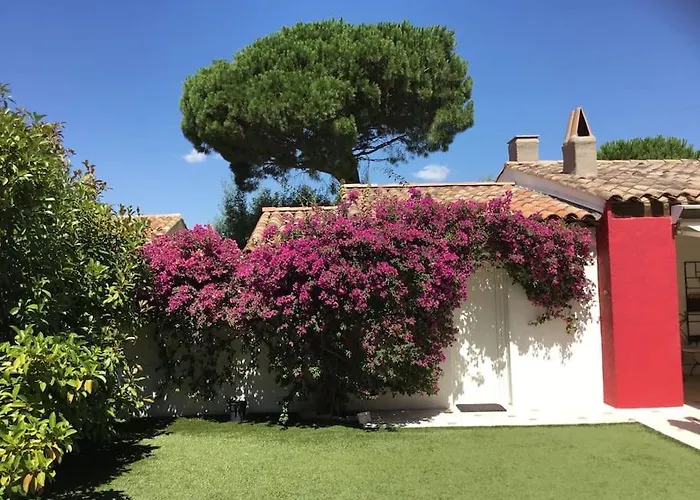 Ste Maxime 5 Etoiles Piscine Chauffee Et Jacuzzi * سانت ماكسيم